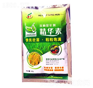 �������L�����A��-���S