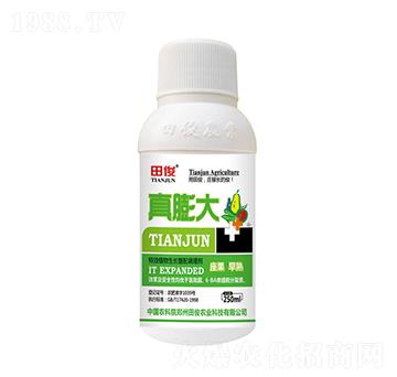 ֲ�����L�����{(di��o)�턩-�����-�￡�ʘI(y��)