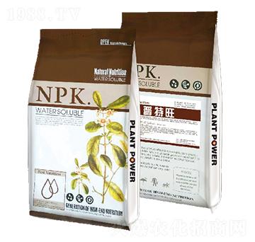 ������-�W������