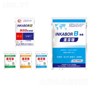 ������-Ӣ��ؐ-�W������