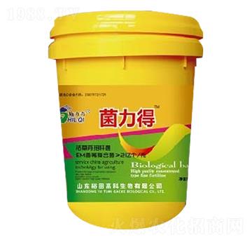 �ݲ�ѿ�ߗU��-������-ԣ��߿�