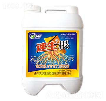 ������-ԣ��߿�