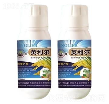 Ӣ����-ԣ��߿�