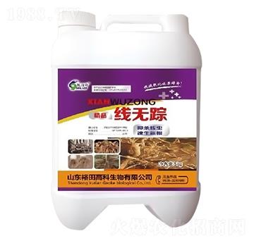 ���oۙ-ʩ����-ԣ��߿�