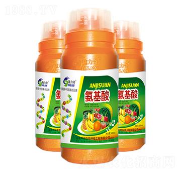 ������-ʩ����-ԣ��߿�