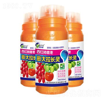 ���t������������L�`-ʩ����-ԣ��߿�