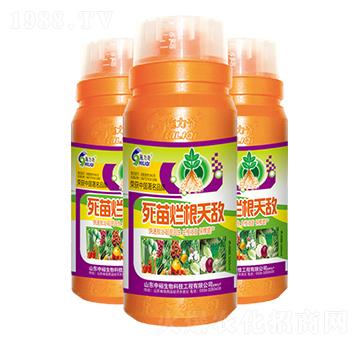 ���砀���씳-ʩ����-ԣ��߿�