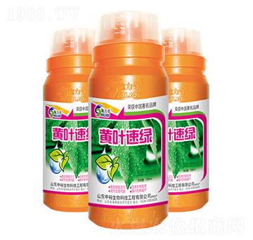 黃葉速綠-施力奇-裕田高科