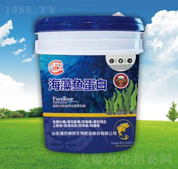 海藻魚蛋白沖施肥-神邦生物