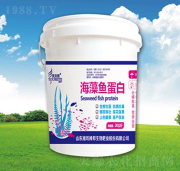 海藻魚蛋白-神邦生物
