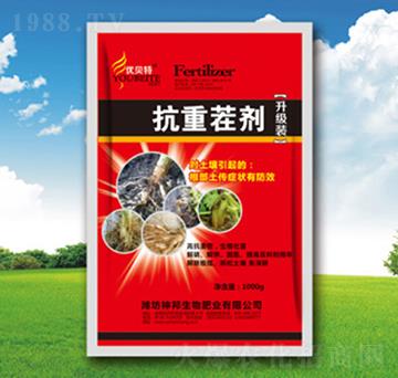 ���ز焩-�������