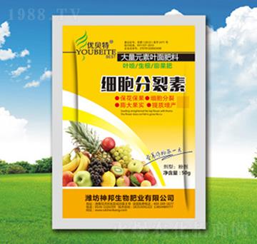 ���������أ��S����-�������