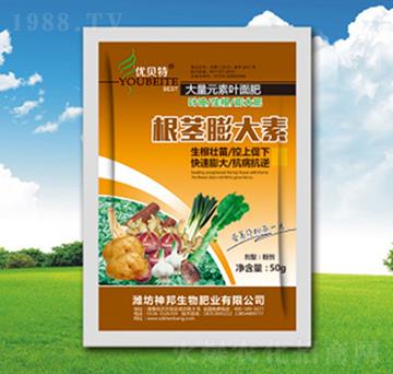 ���o�����-�������