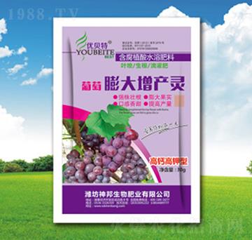 ����������a(ch��n)�`-�������