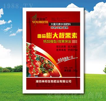 ��������n����-�������