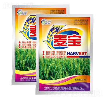 麥寶-施力奇-裕田高科