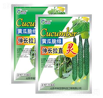 黃瓜脆綠伸長拉直靈-施力奇-裕田高科