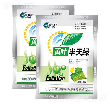 黃葉半天綠-施力奇-裕田高科