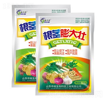 根莖膨大壯-施力奇-裕田高科