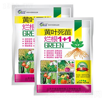 黃葉死苗爛根1+1-施力奇-裕田高科