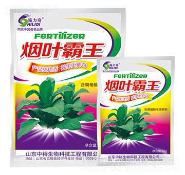 煙葉霸王-施力奇-裕田高科