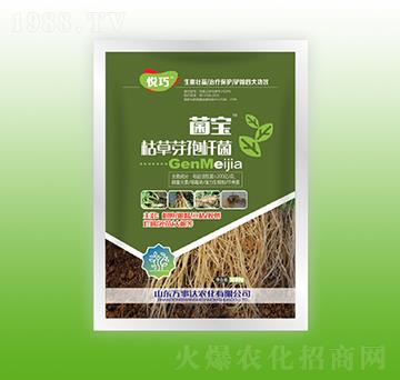 菌寶枯草芽孢桿菌-悅巧-萬(wàn)事達(dá)