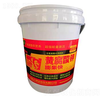 �S����⛣�Ͱ��-����-�f���_