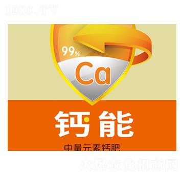 ����Ԫ���}��-�}��-�f���_