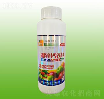 ���\�}�F�V-����-�f���_