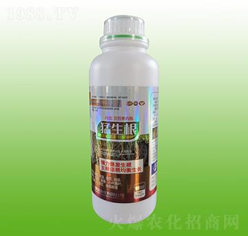 ������-�f���_