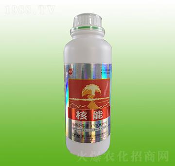 ����������-����-�f���_