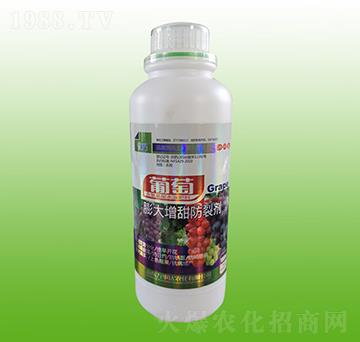 �������������ф�-����-�f���_