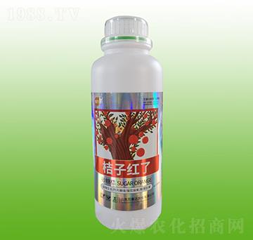 ���Ӽt��-����-�f���_