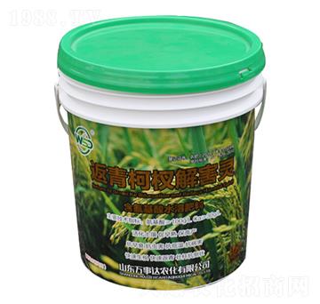 �����辽⺦�`-����-�f���_