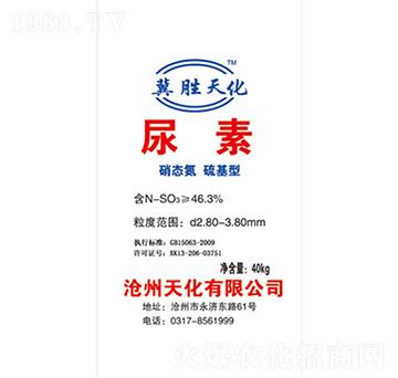 ���������-�컯�ʘI(y��)