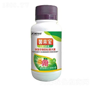 塊莖作物控旺膨大素-薯來寶-傲威