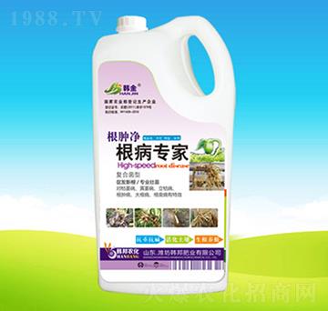 ������(zhu��n)��-�n��ʘI(y��)