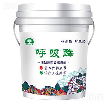 EM原菌+蛋白酶-呼吸酶-加谷沃