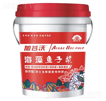 海藻魚(yú)子漿-加谷沃