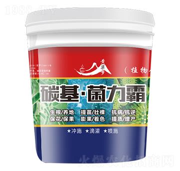 碳基·菌力霸-黃粱夢(mèng)-田歸農(nóng)