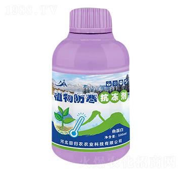 植物防寒抗凍劑-田歸農(nóng)