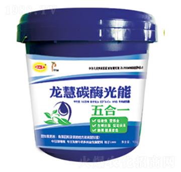 ����̼ø����-������