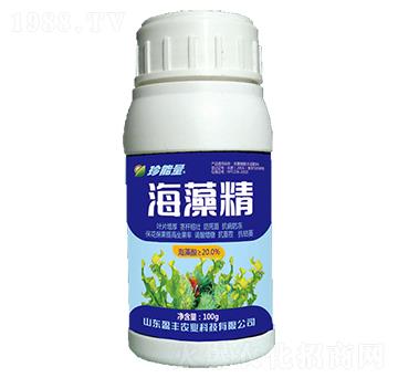 ���徫-���A����