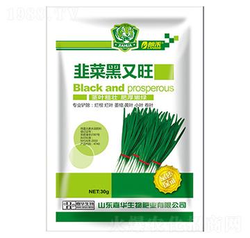 �ǲ˺�����-���A����