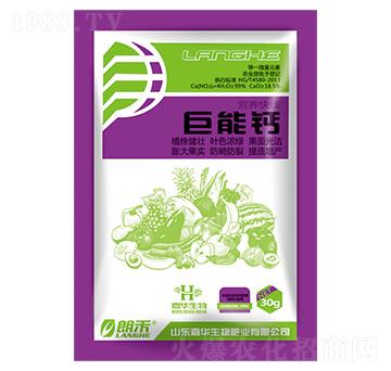 �����}-���A����