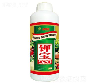 ⛌�920-������-���A����