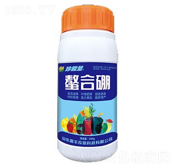 ������-���A����