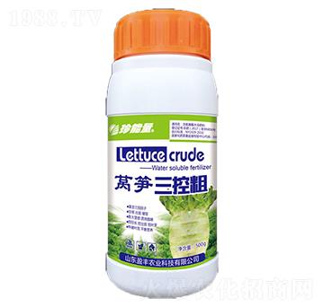 �n�S���ش�-���A����