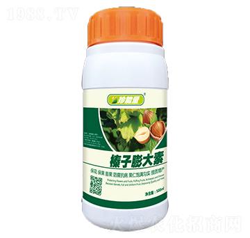 ��������-���A����