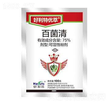 75%�پ���-�����؃�(y��u)��-����������